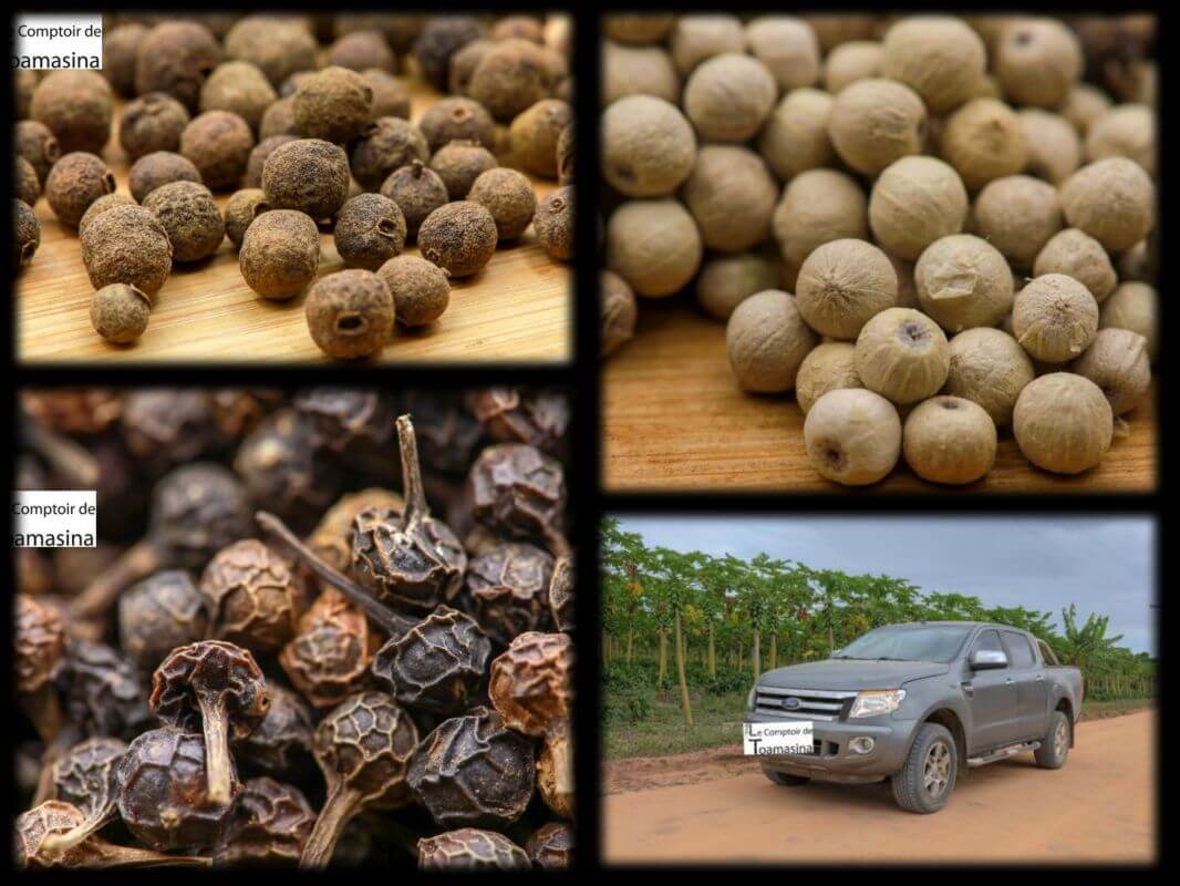 Coffret de Poivres 7 Format Economique - Coffret de poivres en grains pas cher